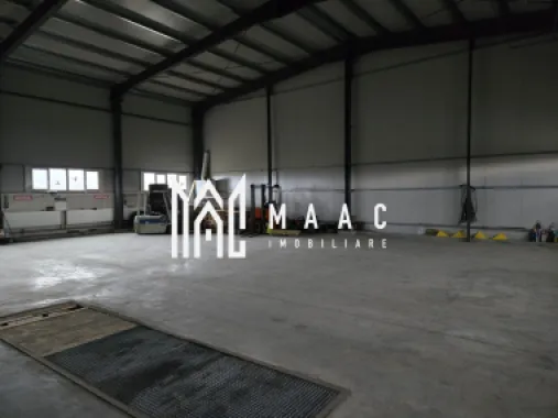 Hală cu Birouri și Teren 12.000 mp I De Vânzare I Bradu I Sibiu