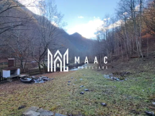 Paradis pe Transalpina in Sugag