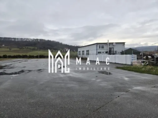 Imobil industrial I 448 mp I Teren 12.000 mp I Bradu I De Inchiriat