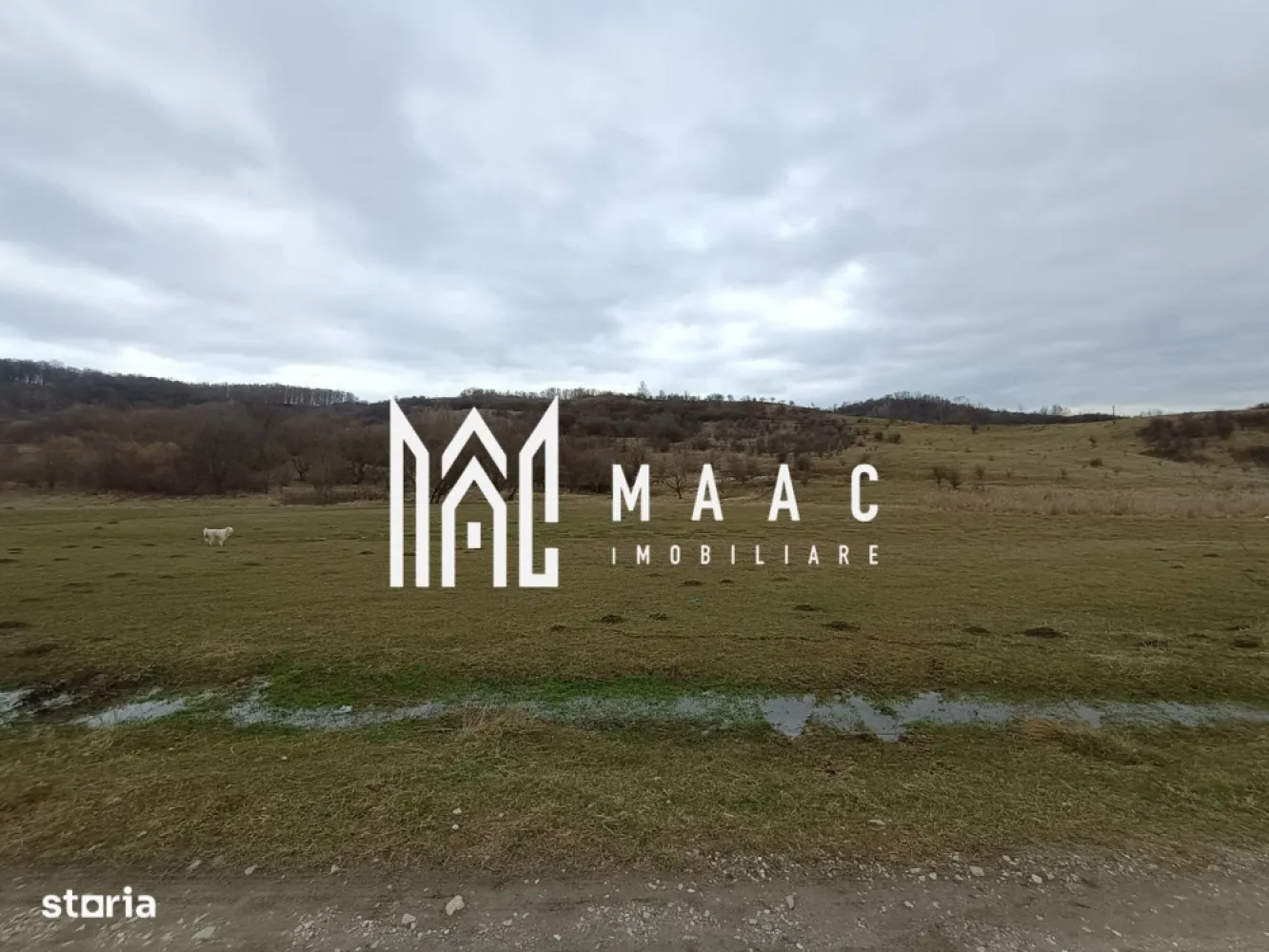 Teren intravilan Ocnele Mari | 2500mp | - MAAC Imobiliare, vă propune spre vanzare un teren intravilan plat, cu potențial excelent de dezvoltare, situat într-o zonă liniștită, cu peisaj deschis către dealuri și acces facil către oraș, la doar 12 km de Râmnicu Vâlcea, pe drumul Ocnele Mari – Ocnița (DN67). Localizare avantajoasă: 12 km de Râmnicu Vâlcea 4 km până la ștrand Ocnița Acces direct din DN67 Zonă aerisită, liniștită, ideală pentru rezidențial Caracteristici teren: Suprafață: 2.500 mp Teren complet plat – ideal pentru construcție, Deschidere 25 ml Lungime 100 ml Posibilitate realizare drum nou pe lateral (100 m) – perfect pentru parcelare sau dezvoltare integrată Propunere dezvoltare urbanistică: Terenul este potrivit pentru introducere în PUG în vederea dezvoltării unui cartier rezidențial mixt, cu: Lărgire și modernizare drumuri Introducere utilități Regim de înălțime P+2 Locuințe individuale, duplexuri sau mici imobile colective Datorită suprafeței generoase, deschiderii bune și faptului că este teren plat, proprietatea permite o parcelare eficientă și optimizarea costurilor de construcție. 🌄 Beneficii cheie: Priveliște frumoasă către dealuri Zonă retrasă, dar cu acces rapid la oraș Teren plat – avantaj major pentru dezvoltatori Potențial investițional ridicat Pentru detalii suplimentare și vizionări, echipa MAAC Imobiliare vă stă la dispoziție. O oportunitate excelentă pentru dezvoltare rezidențială într-o zonă în plină creștere! CP2947017 }}