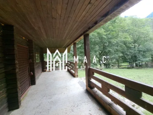 Paradis pe Transalpina in Sugag