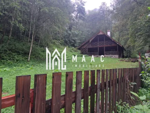 Paradis pe Transalpina in Sugag