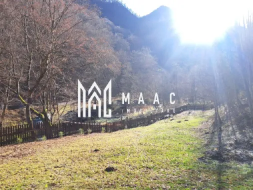 Paradis pe Transalpina in Sugag