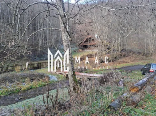 Paradis pe Transalpina in Sugag