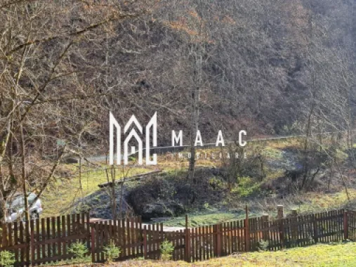 Paradis pe Transalpina in Sugag