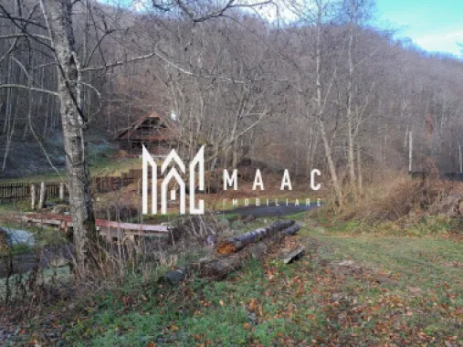 Paradis pe Transalpina in Sugag