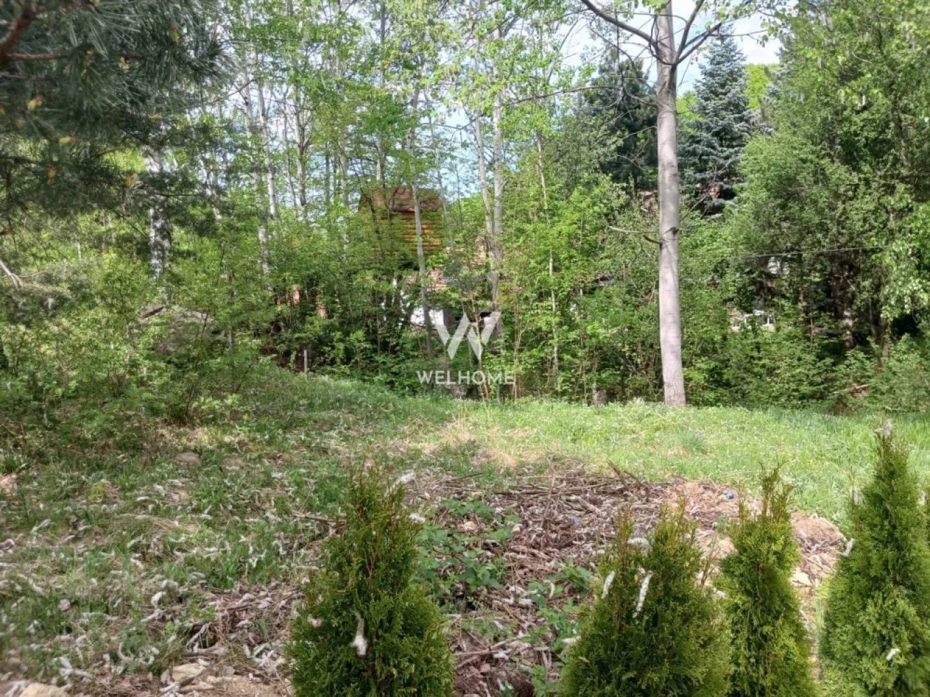 Teren Extravilan situat la intersectia DN1 cu Transfagarasan