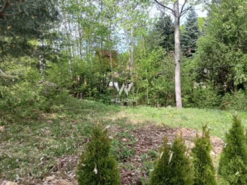 Teren Extravilan situat la intersectia DN1 cu Transfagarasan