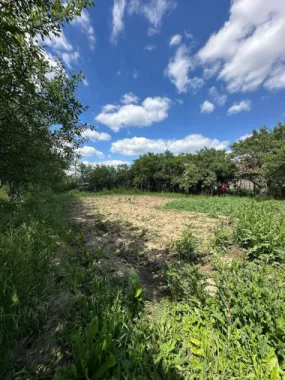 De vânzare | Casă tradițională la sat + teren 1.500 mp. Sat Săbolciu