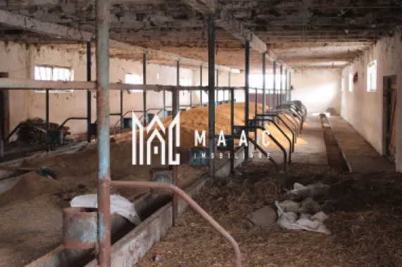 Ferma de Vânzare – Oportunitate Unică!