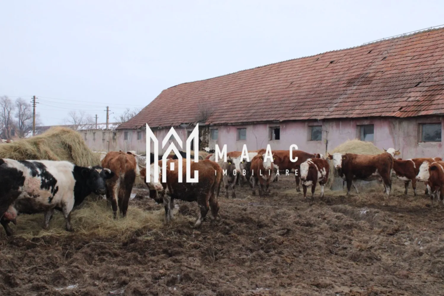 Ferma de Vânzare – Oportunitate Unică!