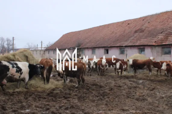 Ferma de Vânzare – Oportunitate Unică!