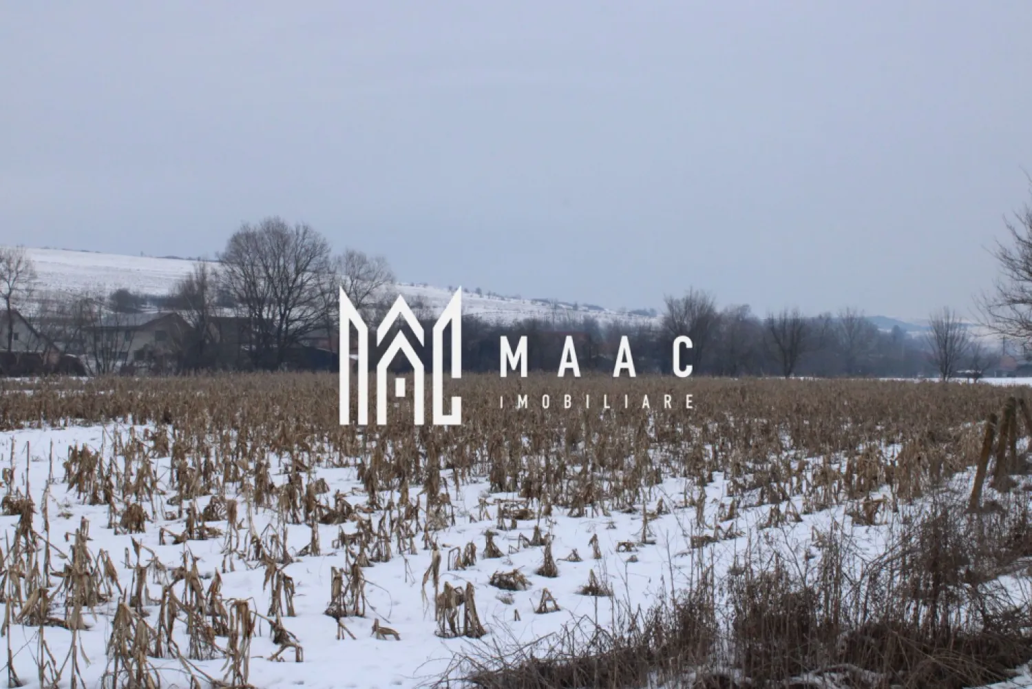 Ferma de Vânzare – Oportunitate Unică!