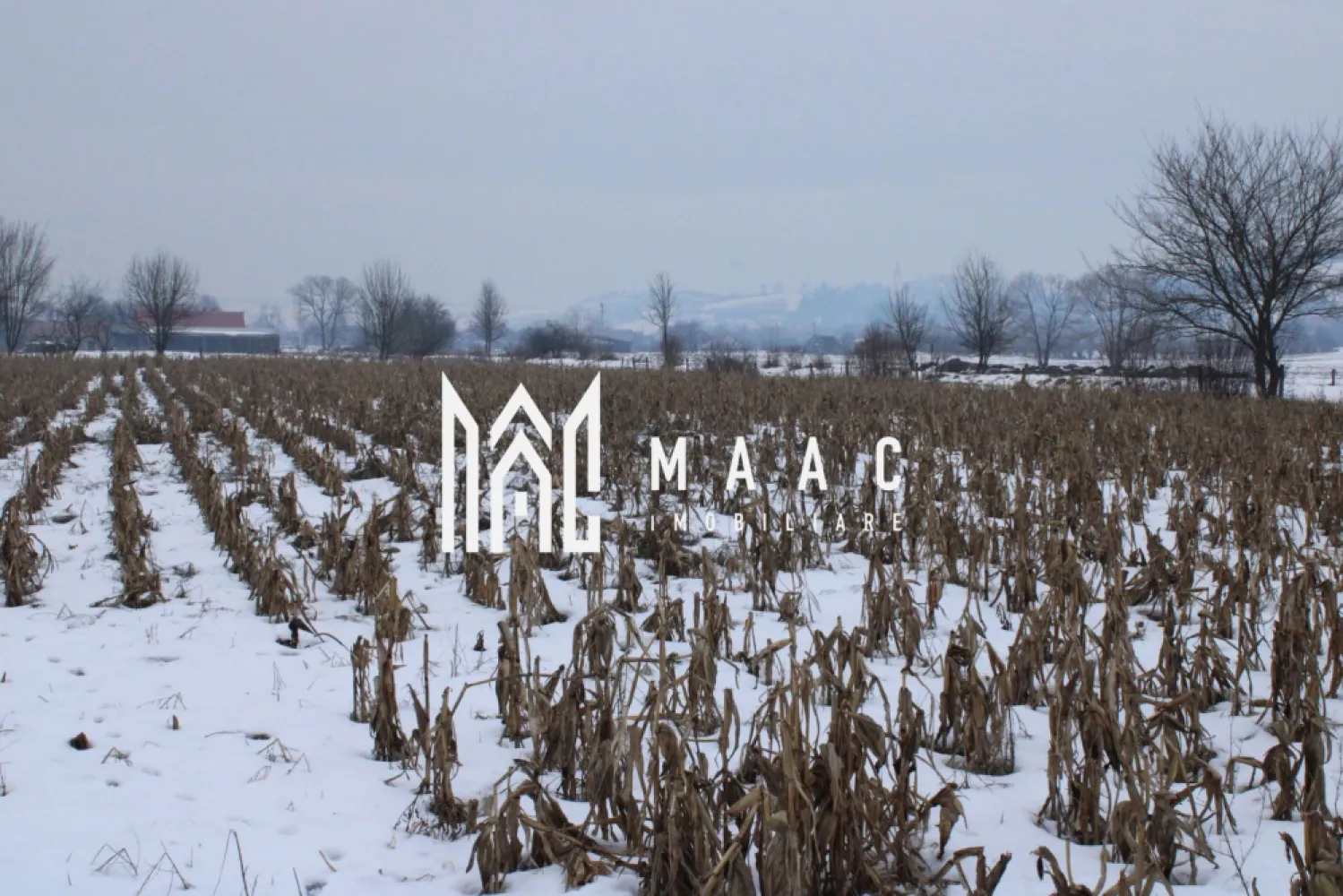 Ferma de Vânzare – Oportunitate Unică!