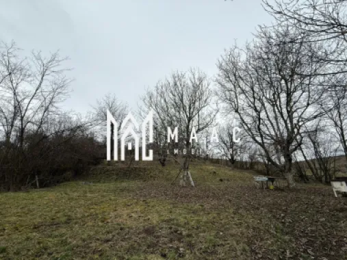 Logo MAAC IMOBILIARE logo