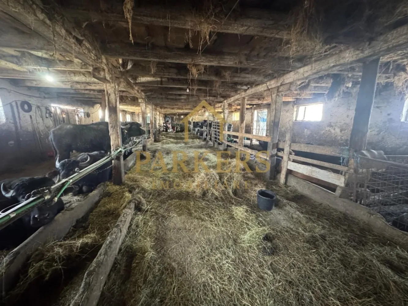 Fermă cu hală 275 mp Ileni, acces râu, Făgăraș - Proprietate situată în Ileni, la doar câteva minute de Făgăraș, ideală pentru fermă, depozitare sau activități de producție. Clădire tip hală / spațiu producție: 275 mp Teren intravilan (curte): 356 mp Suprafață totală teren: 631 mp Acces auto facil Ieșire la râu Zonă liniștită, cu potențial pentru dezvoltare Proprietatea este potrivită atât pentru activități agricole, cât și pentru mică producție, depozit sau alte activități comerciale. Se acceptă și variante cu apartament în Făgăraș. Pentru mai multe detalii și vizionare, contactați telefonic }}