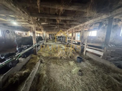 Fermă cu hală 275 mp Ileni, acces râu, Făgăraș