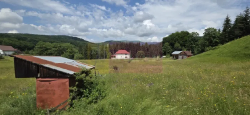 Vila din padure in Valea Doftanei