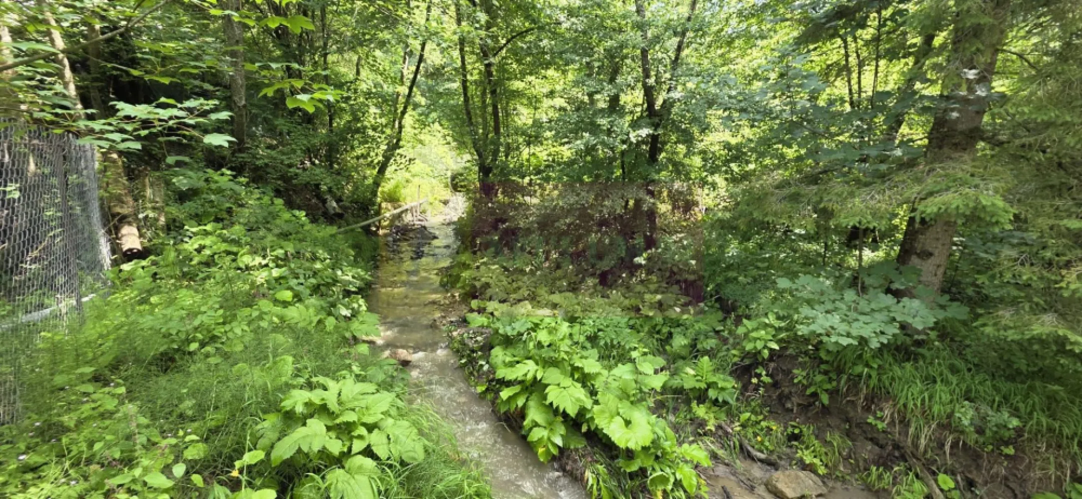 Vila din padure in Valea Doftanei