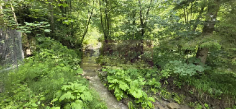 Vila din padure in Valea Doftanei