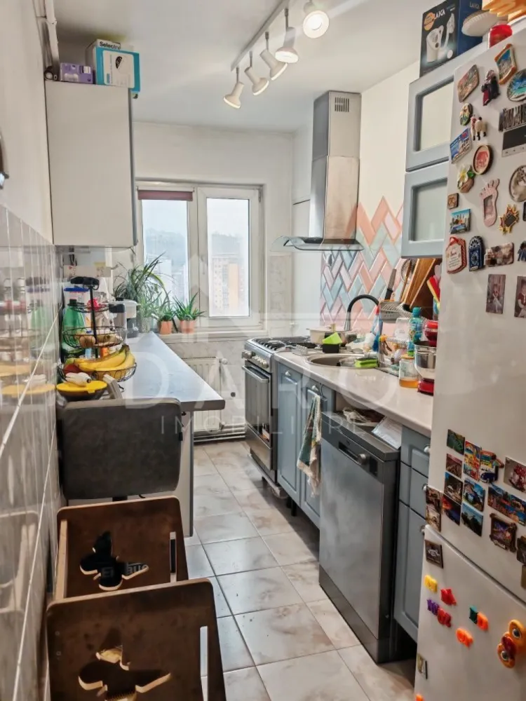 🏡 Apartament 2 camere de vânzare – Dâmbu Pietros