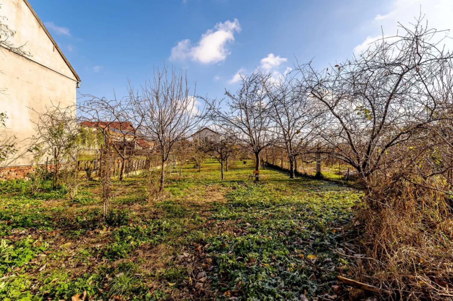 Locuință spațioasă cu grădină mare, în Aradul Nou, calea Timișorii