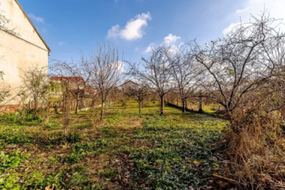 Locuință spațioasă cu grădină mare, în Aradul Nou, calea Timișorii