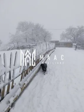 Proprietate cu 60000 mp pamant la pret de apartament