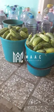 Proprietate cu 60000 mp pamant la pret de apartament