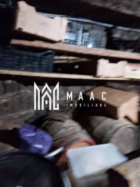 Proprietate cu 60000 mp pamant la pret de apartament