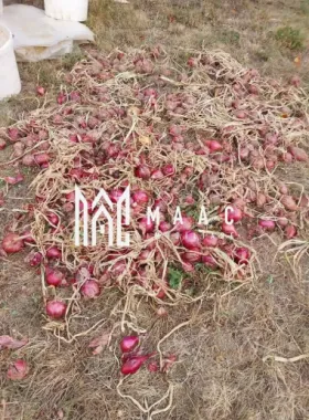 Proprietate cu 60000 mp pamant la pret de apartament