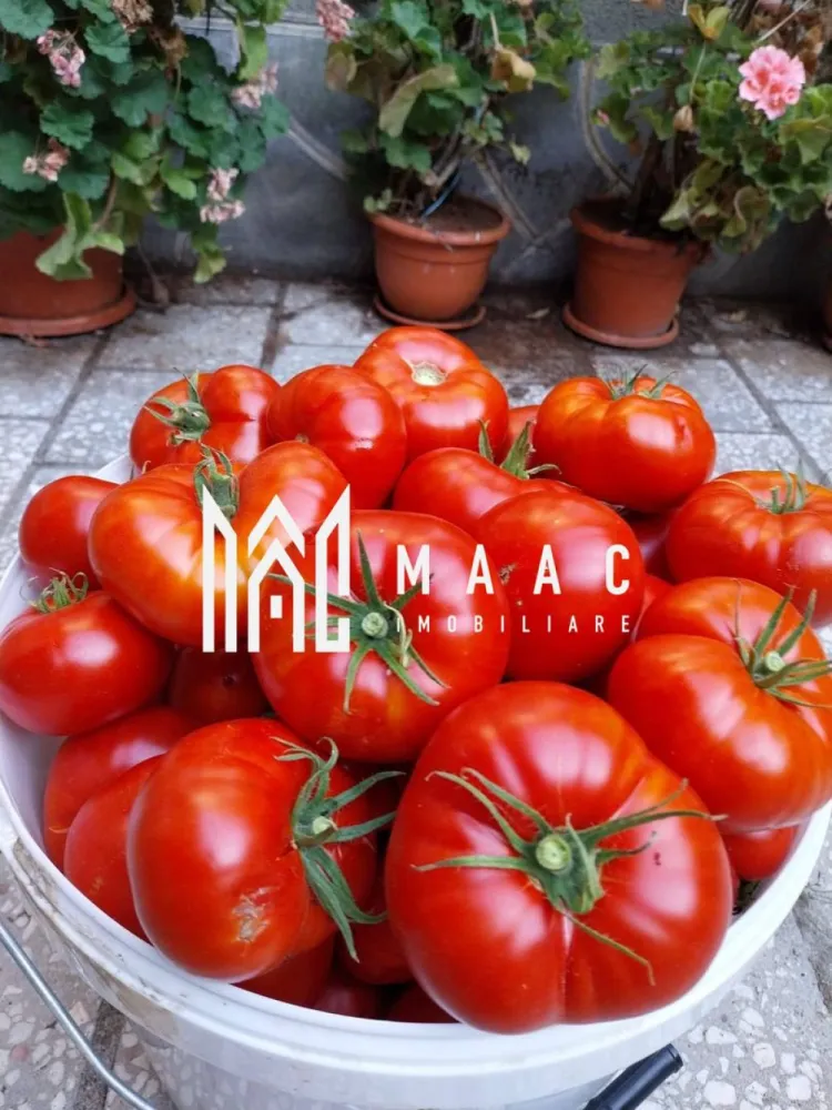 Proprietate cu 60000 mp pamant la pret de apartament