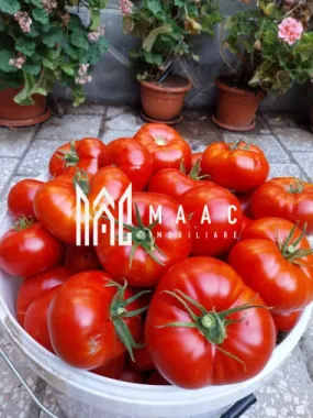 Proprietate cu 60000 mp pamant la pret de apartament