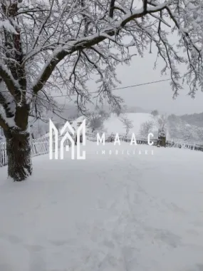 Proprietate cu 60000 mp pamant la pret de apartament