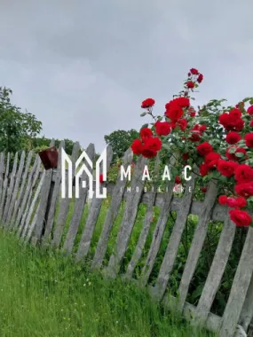 Proprietate cu 60000 mp pamant la pret de apartament