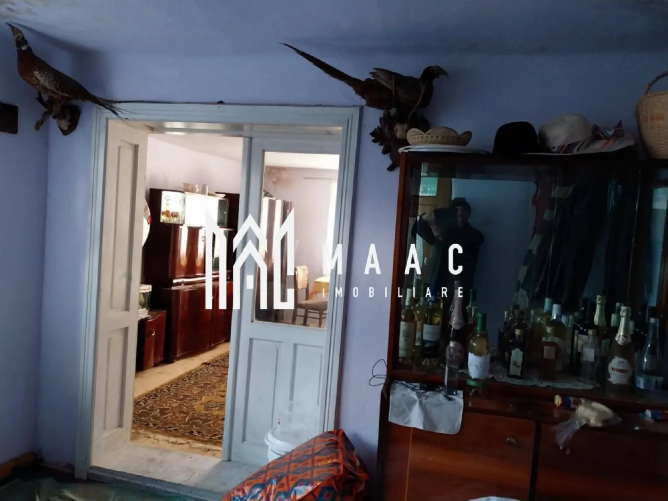 Proprietate cu 60000 mp pamant la pret de apartament