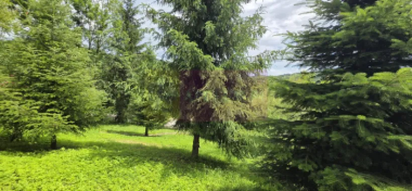 Cabana cu 5 camere de vanzare in Provita
