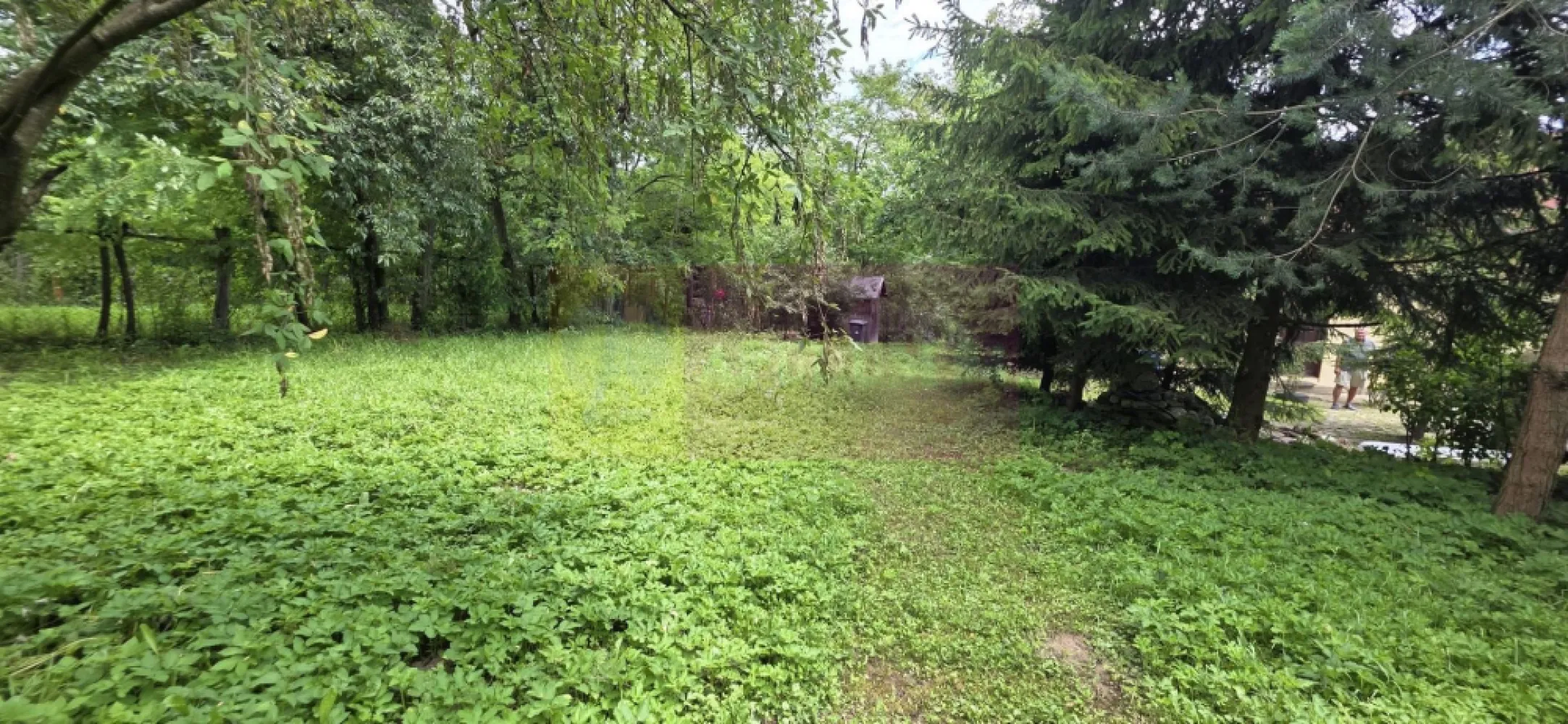 Cabana cu 5 camere de vanzare in Provita