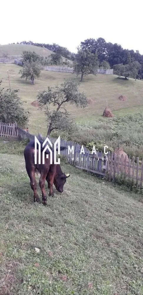 Proprietate cu 60000 mp pamant la pret de apartament