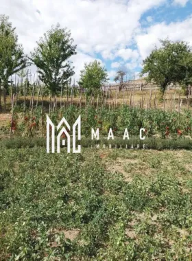 Proprietate cu 60000 mp pamant la pret de apartament