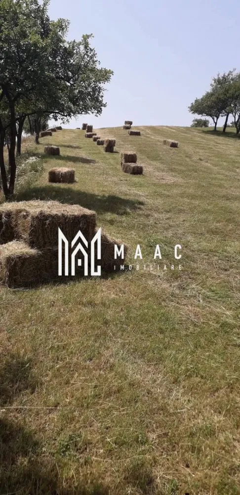 Proprietate cu 60000 mp pamant la pret de apartament