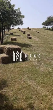 Proprietate cu 60000 mp pamant la pret de apartament