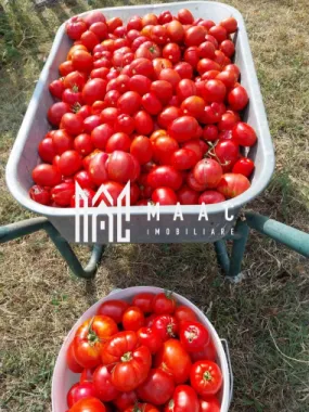 Proprietate cu 60000 mp pamant la pret de apartament