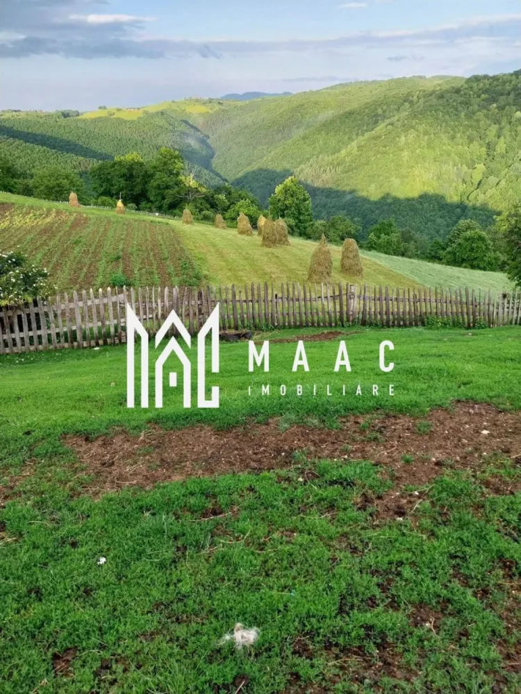 Proprietate cu 60000 mp pamant la pret de apartament