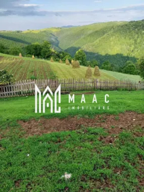 Proprietate cu 60000 mp pamant la pret de apartament