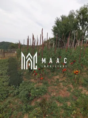 Proprietate cu 60000 mp pamant la pret de apartament