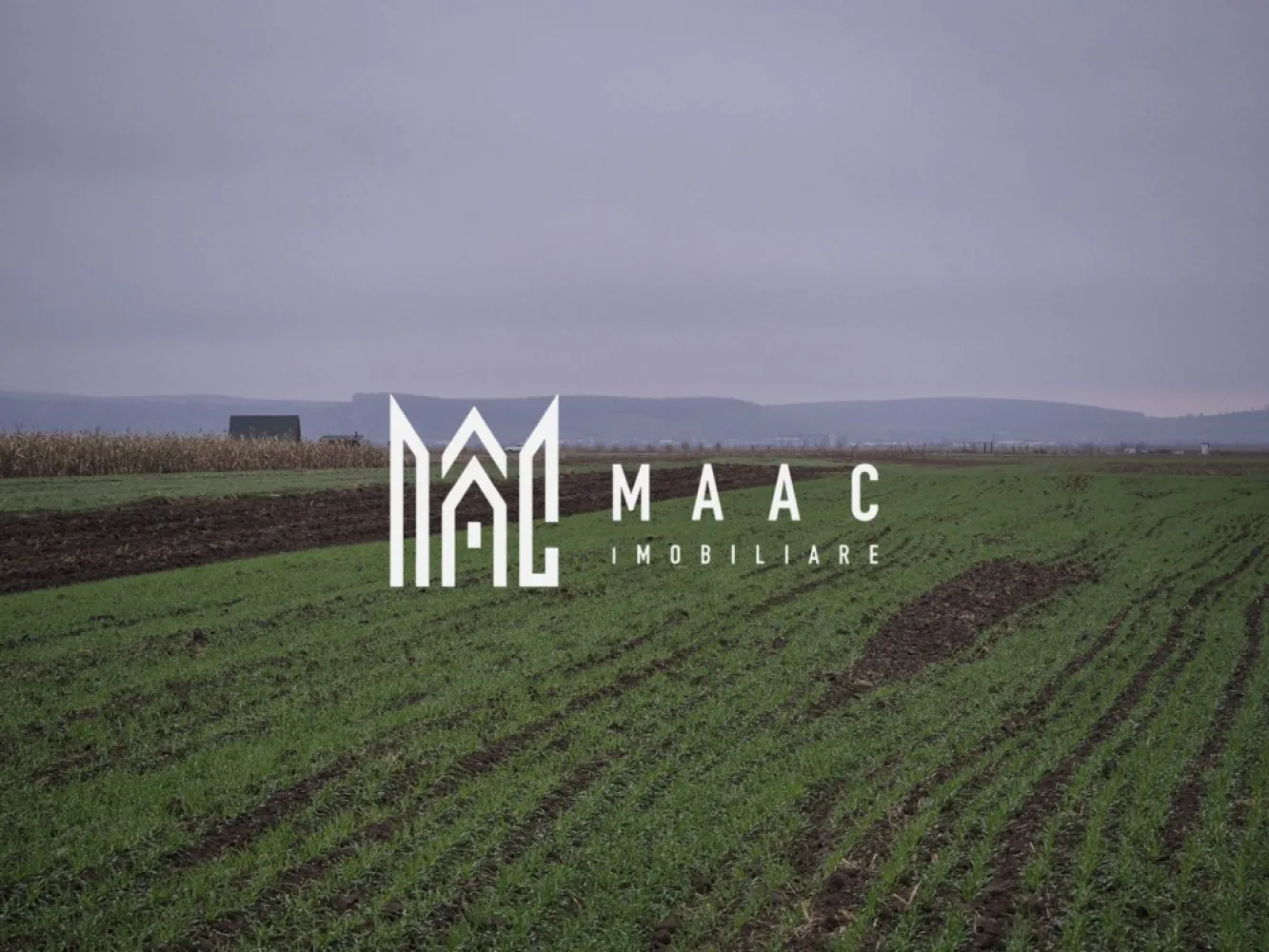 Teren extravilan | Gura raului | 2250 MP - MAAC Imobiliare vă prezintă spre vânzare un teren extravilan amplasat în pitoreasca localitate Gura Râului, o zonă apreciată pentru liniște, natură și proximitatea față de principalele puncte turistice din Mărginimea Sibiului. Proprietatea dispune de o suprafață totală de 2.250 mp, oferind un cadru ideal pentru activități agricole, recreative sau ca investiție sigură pe termen lung. Caracteristici teren: suprafață totală: 2.250 mp, formă regulată, ușor de parcelat sau de utilizat pentru diverse activități Utilități în zonă: curent electric: în apropiere, apă: prin rețea în localitate, gaz / canalizare: nu sunt disponibile momentan în extravilan. Avantaje ale proprietății: Poziționare într-o zonă liniștită, cu peisaje deosebite, perfectă pentru activități agricole, ferme mici, stupină sau recreere Teren ideal ca investiție, într-o comună turistică aflată în dezvoltare. Oportunitate excelentă pentru cei care caută terenuri în zone naturale, neaglomerate. Terenul este situat la o distanță de aproximativ 700 de metri față de drumul principal, oferind un echilibru ideal între accesibilitate și liniște. Puncte de interes apropiate: Barajul și lacul de acumulare Gura Râului, trasee spre Munții Cindrel, stațiunea Păltiniș, localitățile Rășinari, Orlat, Sibiel, Sibiu – la distanță rezonabilă Pentru mai multe detalii si programarea unei vizionari va invitam să contactati Maac imobiliare, specificand: CP2815609 }}