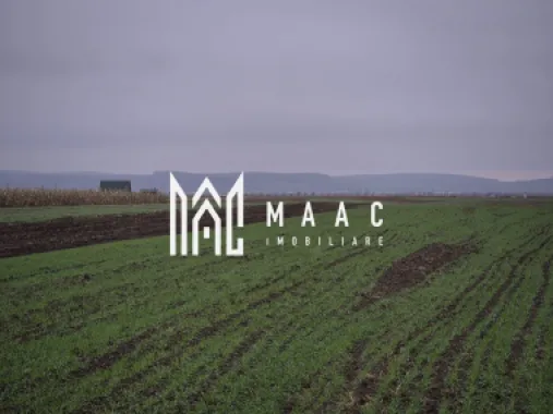 Logo MAAC IMOBILIARE logo