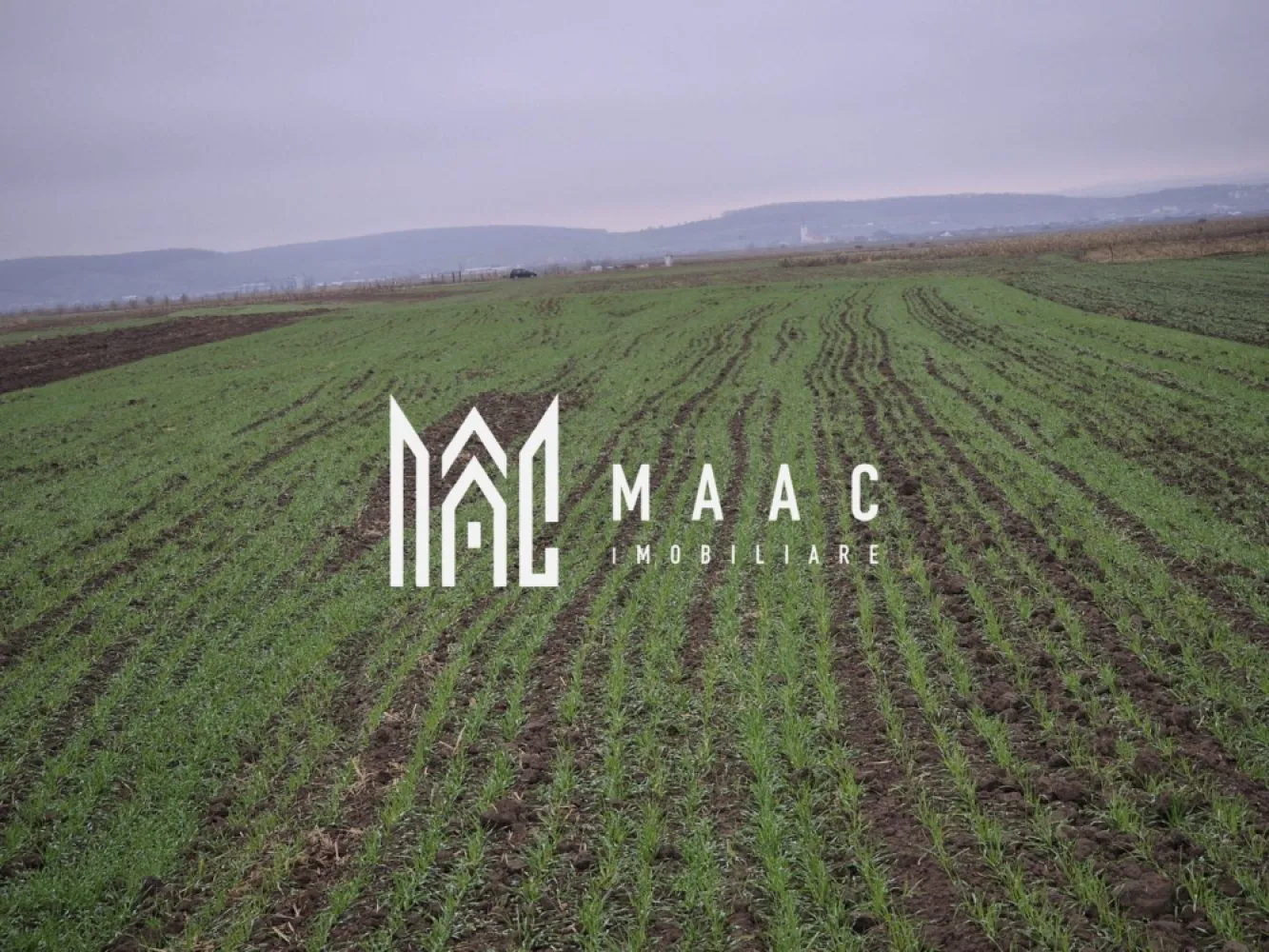 Teren extravilan | Gura raului | 2250 MP - MAAC Imobiliare vă prezintă spre vânzare un teren extravilan amplasat în pitoreasca localitate Gura Râului, o zonă apreciată pentru liniște, natură și proximitatea față de principalele puncte turistice din Mărginimea Sibiului. Proprietatea dispune de o suprafață totală de 2.250 mp, oferind un cadru ideal pentru activități agricole, recreative sau ca investiție sigură pe termen lung. Caracteristici teren: suprafață totală: 2.250 mp, formă regulată, ușor de parcelat sau de utilizat pentru diverse activități Utilități în zonă: curent electric: în apropiere, apă: prin rețea în localitate, gaz / canalizare: nu sunt disponibile momentan în extravilan. Avantaje ale proprietății: Poziționare într-o zonă liniștită, cu peisaje deosebite, perfectă pentru activități agricole, ferme mici, stupină sau recreere Teren ideal ca investiție, într-o comună turistică aflată în dezvoltare. Oportunitate excelentă pentru cei care caută terenuri în zone naturale, neaglomerate. Terenul este situat la o distanță de aproximativ 700 de metri față de drumul principal, oferind un echilibru ideal între accesibilitate și liniște. Puncte de interes apropiate: Barajul și lacul de acumulare Gura Râului, trasee spre Munții Cindrel, stațiunea Păltiniș, localitățile Rășinari, Orlat, Sibiel, Sibiu – la distanță rezonabilă Pentru mai multe detalii si programarea unei vizionari va invitam să contactati Maac imobiliare, specificand: CP2815609 }}