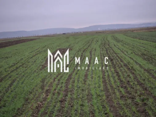 Teren extravilan | Gura raului | 2250 MP